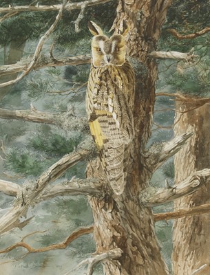 Lot 163 - Keith Brockie (b.1955)