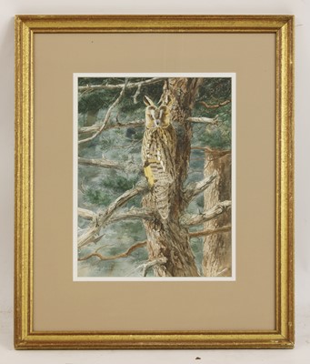 Lot 163 - Keith Brockie (b.1955)