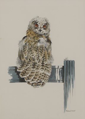 Lot 161 - Richard Ward (Irish, b.1944)