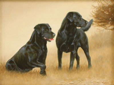 Lot 269 - John Silver (b.1959)