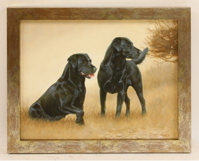 Lot 269 - John Silver (b.1959)