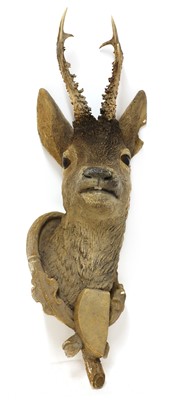 Lot 187 - A composite roebuck head mount