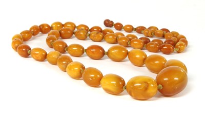 Lot 41 - A single row graduated olive-shaped butterscotch amber bead necklace