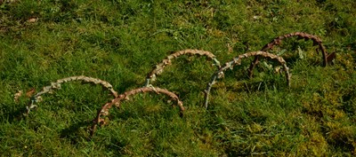 Lot 465 - A set of cast iron hoops