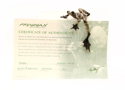 Lot 358 - A Tim Cotterill 'Frogman' bronze frog, 'Shadow'