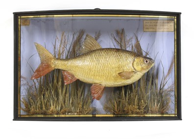 Lot 62 - A COOPER ROACH