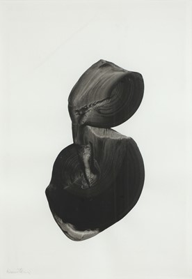 Lot 481 - Avi Eisenstein (Israeli, b.1946)