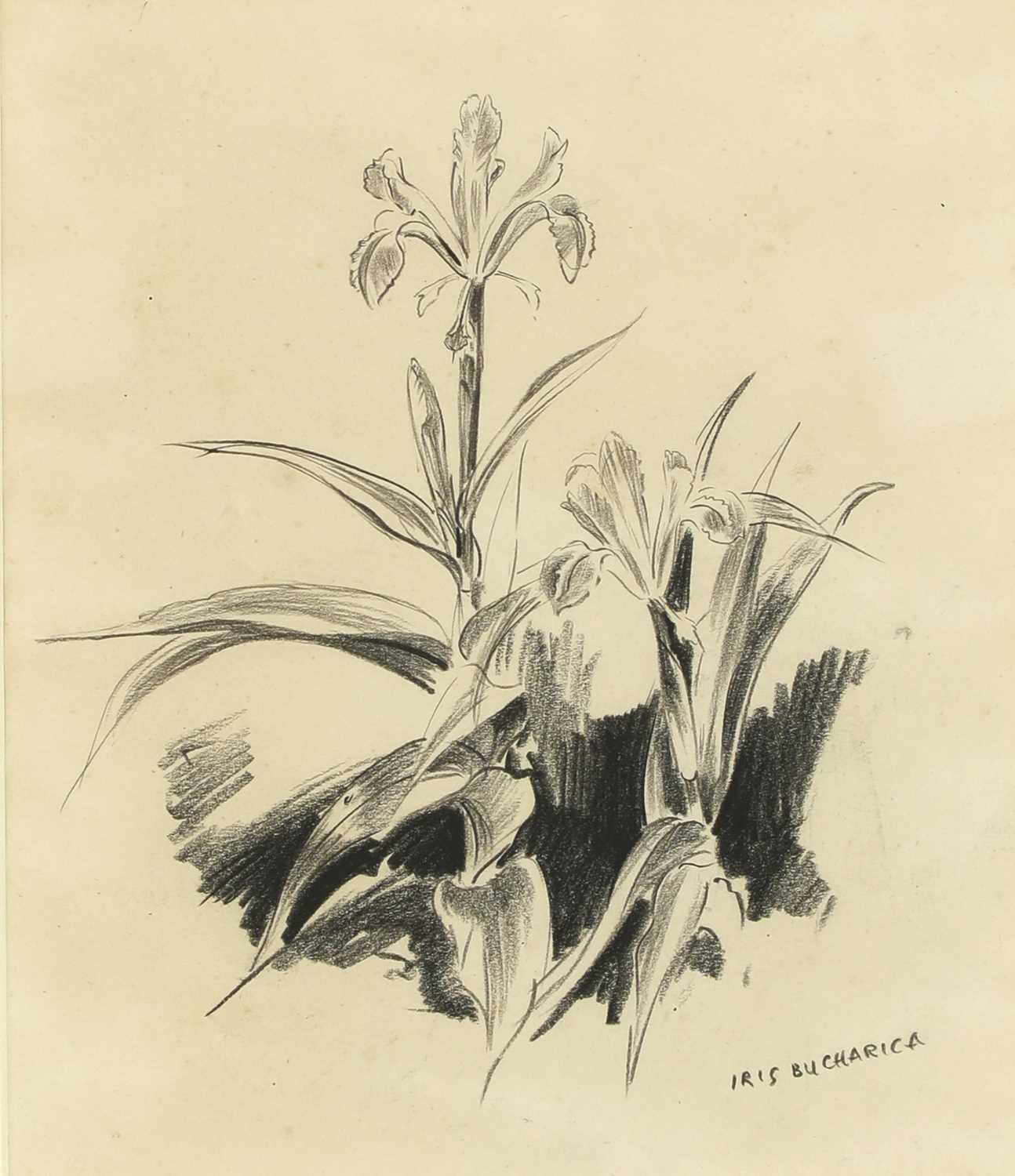 Lot 98 - Eileen Alice Soper (1905-1990)