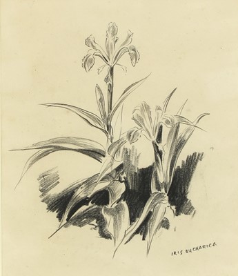 Lot 98 - Eileen Alice Soper (1905-1990)