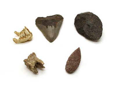 Lot 67 - Various natural history and early artefacts