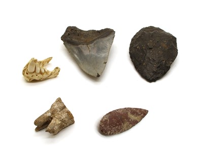 Lot 67 - Various natural history and early artefacts