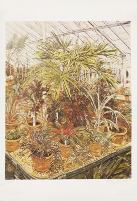 Lot 49 - Olwyn Bowey (b.1936)