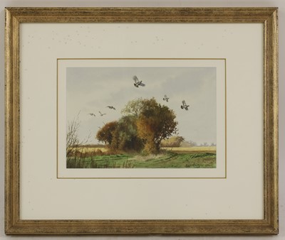 Lot 162 - Ben Hoskyns (b.1963)