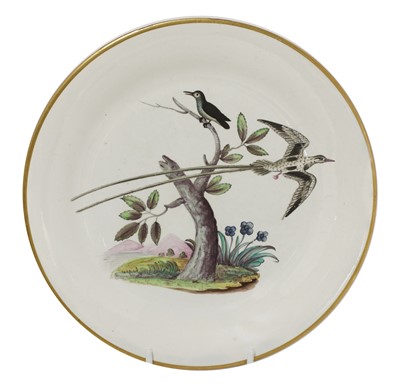 Lot 263 - A set of seven Davenport ornithological specimen plates