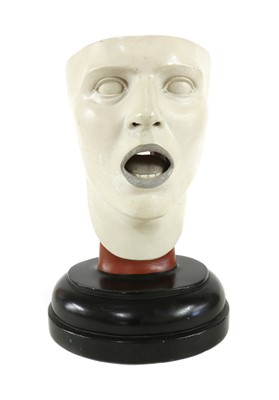 Lot 42 - A Bock-Steger anatomical face