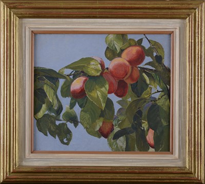 Lot 411 - Seoirse Macantsionnaigh, 20th century