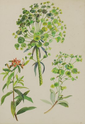 Lot 324 - Joan Warburton (1920-1996)