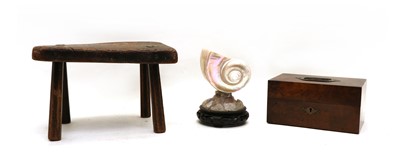 Lot 41 - A shell mounted on a hardstone rock mount and hardwood base