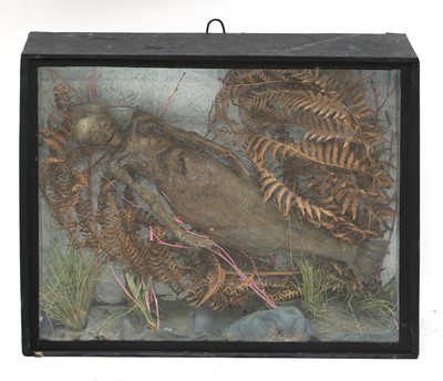 Lot 85 - FIJI MERMAID
