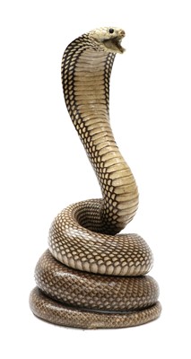 Lot 96 - INDIAN COBRA