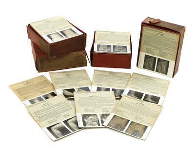 Lot 199 - DISSECTED HUMAN BODY PARTS