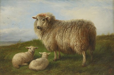 Lot 639 - Charles Jones (1836-1892)