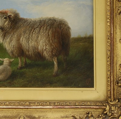 Lot 639 - Charles Jones (1836-1892)