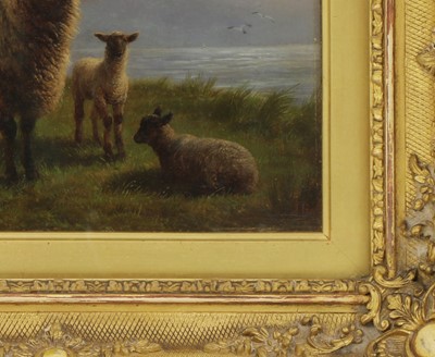 Lot 639 - Charles Jones (1836-1892)