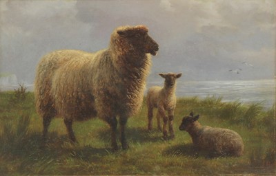 Lot 639 - Charles Jones (1836-1892)
