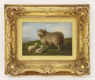 Lot 639 - Charles Jones (1836-1892)