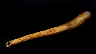 Lot 252 - WALRUS BACULUM