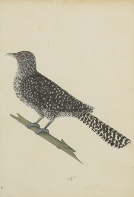 Lot 161 - Calcutta School, c.1800