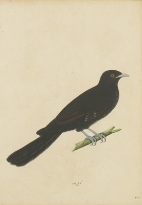 Lot 161 - Calcutta School, c.1800