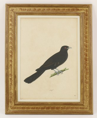 Lot 161 - Calcutta School, c.1800