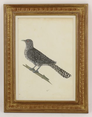 Lot 161 - Calcutta School, c.1800