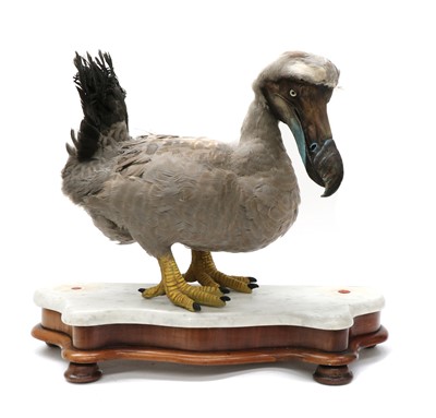 Lot 51 - THE DODO