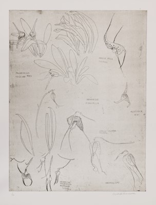 Lot 160 - Dame Elizabeth Blackadder RA RSA (b.1931)