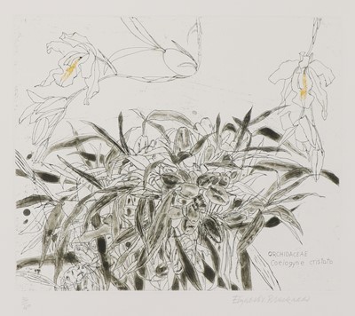 Lot 163 - Dame Elizabeth Blackadder RA RSA (b.1931)