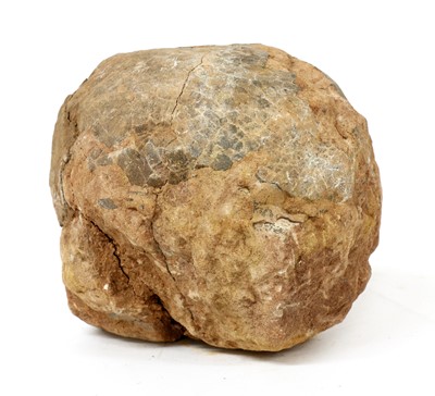 Lot 246 - FOSSILISED DINOSAUR EGG