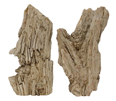 Lot 918 - A near pair of Madagascan petrified tree segments