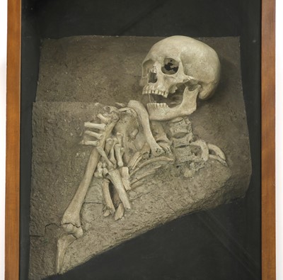 Lot 181 - A HUMAN SKELETON
