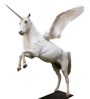 Lot 54 - A TAXIDERMY ALICORN