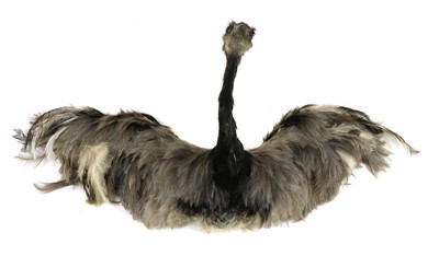 Lot 218 - EMU
