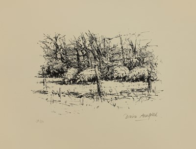 Lot 95 - Diana Armfield RA (b.1920)