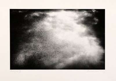 Lot 103 - Alison Wilding (b.1948)
