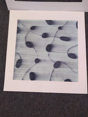 Lot 292 - Mark Francis (b.1962)