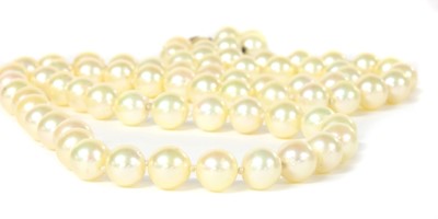 Lot 222 - A single row uniform cultured pearl necklace