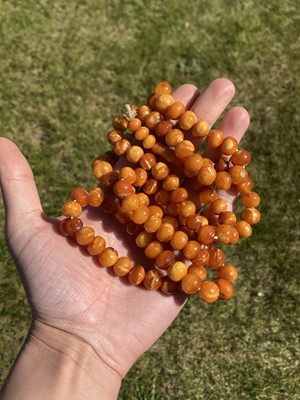 Lot 27 - A single row slightly graduated butterscotch amber prayer bead necklace
