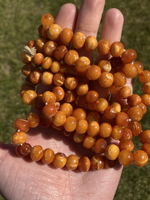 Lot 27 - A single row slightly graduated butterscotch amber prayer bead necklace