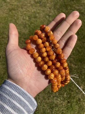 Lot 27 - A single row slightly graduated butterscotch amber prayer bead necklace
